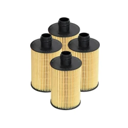 Fuel Filters